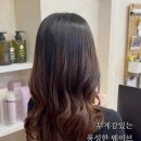 풍성한미용실 이미지