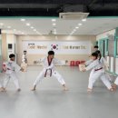 금태회금메달태권도 이미지