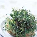 하나로 인터 이미지