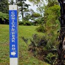 8월 15일 Conical Peak (Matakana) 이미지