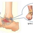 신정제 이미지