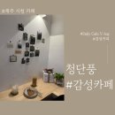 단풍 | 두바이 에그타르트 맛집 제주 시청 카페 청단풍 후기