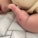 조윤향피부과의원 이미지