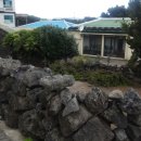 버스정류소_서귀포중학교 | 7.23 제주도 여행 3일 [제주도 맛집/이어도 전복해물전문점]