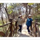 유하 카카오 검색결과
