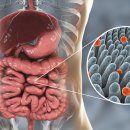 연세수내과의원 이미지