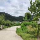 원골힐링캠프 | 금산 원골힐링캠프펜션 가족실 1박 후기