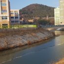 빛여울초등학교 이미지