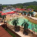 (주)파라다이스포인트 이미지