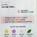 남도모시송편 이미지