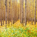 바람도리 이미지