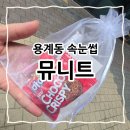 동서대로 | 대전 용계동 라도무스 근처 뮤니트 내돈내산 본식 앞두고 속눈썹펌 했어요