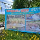금강산식당 | 시원한 계곡 옆에서 즐긴 한 끼! 양주 금강산 식당 후기🌿