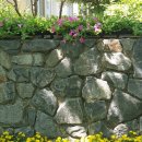 정다운재가노인복지센터 이미지