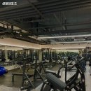 성일레포츠