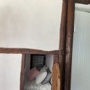 스텔라하우스 이미지