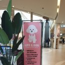 라이프엔도그