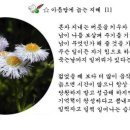 skid 선그라스/앉은뱅이술/광천토굴새우젓/산악마라톤 사랑을 싣고... 이미지