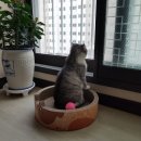 행복잡고 이미지