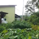 펜션별을쏘다 이미지