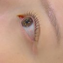 유니컬속눈썹 이미지