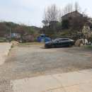 댕댕그라운드 이미지