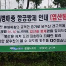 푸른항공방제