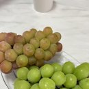 요리팡팡요리학원 이미지