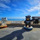 강릉 안목해변과 커피거리 이미지