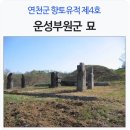 운성부원군 묘 이미지