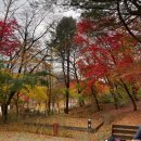11월 첫째주 북한산 사기막 야영장 단풍캠크닉 A14구역 뷰 위주 후기(+ 10월 A8구역 뷰)