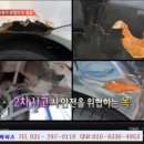 오토피아자동차정비공업사 이미지