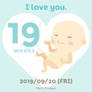임신일기) 임신19주 ~ 임신20주, 천국과 지옥을 경험한 니프티검사 / 성별확정 / 고마운사람들