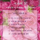 로즈아로마 - 평택시 안중로 125 | 로즈아로마