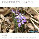 청산도 산행 후기 이미지