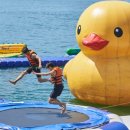 수목원레저 이미지