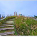 배곧생명공원 이미지