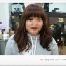 로뎀나무헤어 네이버블로그