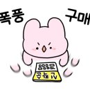 산호수족관