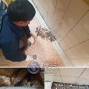 둥근섬로 이미지