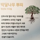 화성 우리꽃식물원 1 이미지