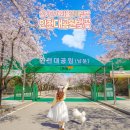 길愛 예술- 자전거 | 인천 벚꽃 명소 인천대공원 벚꽃 축제 자전거 실시간 개화상황
