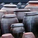 지사코인노래연습장 이미지