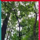 두루봉약수터 이미지