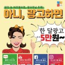 인사이드함평