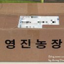 영진농장2 이미지