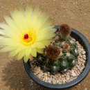 하늘꽃마을 이미지