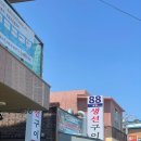 속초 생선구이 | 속초 88생선구이 후기 | 일주일 사이 두 번 간 찐 현지인 맛집