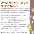 한국단기가족치료연구소 Daum카페