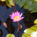 풍경하루 이미지